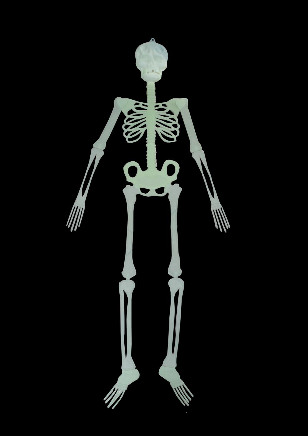 SCHELETRO IN PLASTICA FLUORESCENTE PER DECORAZIONI DI HALLOWEEN